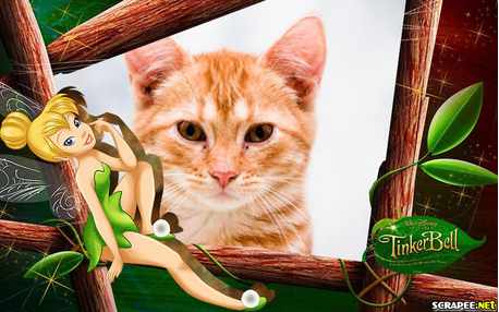 Moldura - Bonequinha Timkerbel