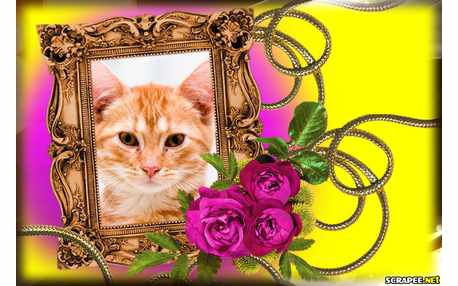 Moldura - Estilo Rustico