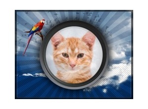 Moldura - Arara Vermelha