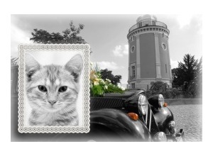 Moldura - Carro Casamento