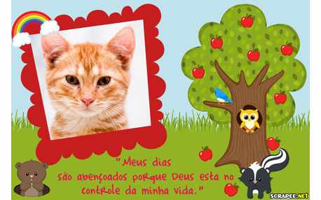 Moldura - Abencoado Animais