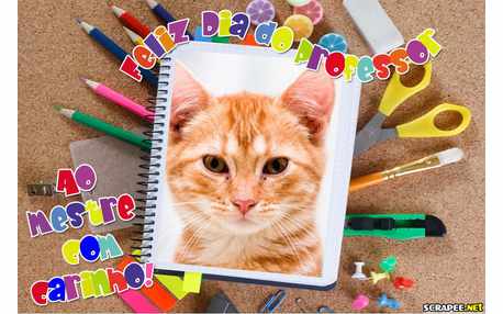 Moldura - Dia Do Professor