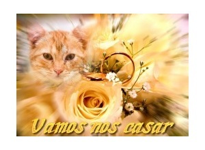 Moldura - Vamos Nos Casar