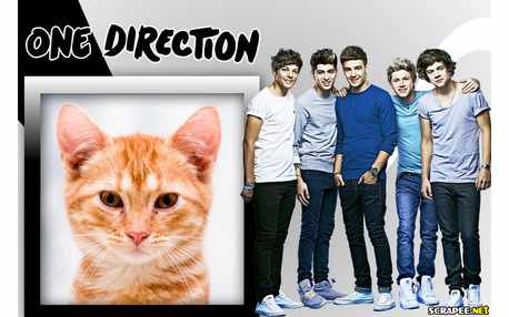 Moldura - One Direction
