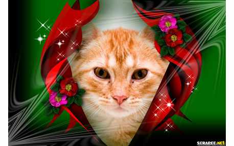 Moldura - Molduras Trabalhadas Para Fotos