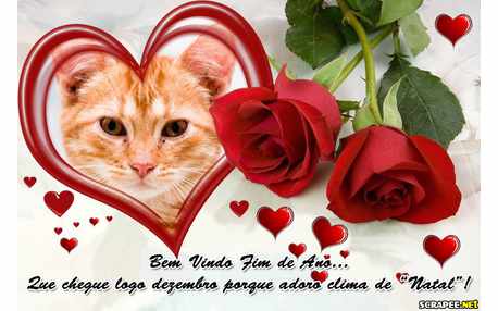 Moldura - Fim De Ano   Final De Ano