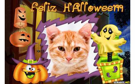 Moldura - Feliz Halloween