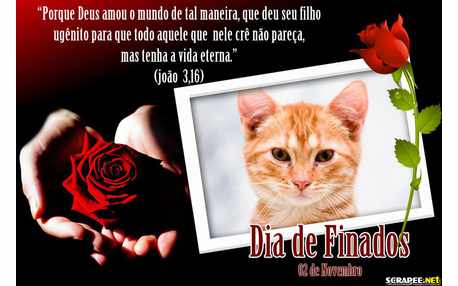 Moldura - Finados 02 De Novembro