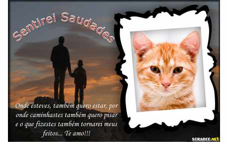 Moldura - Saudade Eterna