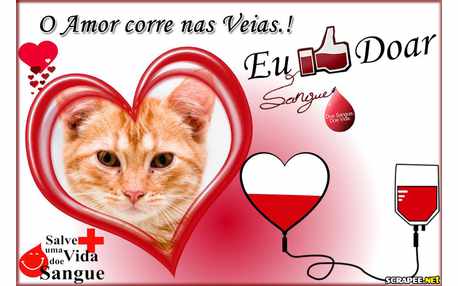 Moldura - Campanha Para Doacao De Sangue