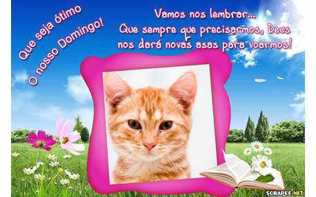 Moldura - Irradiante Domingo