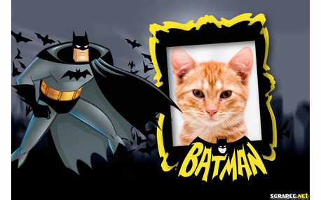 Moldura - Batman
