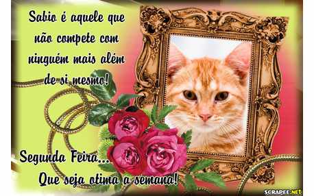 Moldura - Otima Segunda Feira