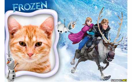 Moldura - Ana E Christofer Filme Frozen