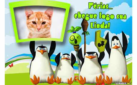 Moldura - Ferias Cade Voce