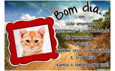 Moldura - Mensagem Do Dia