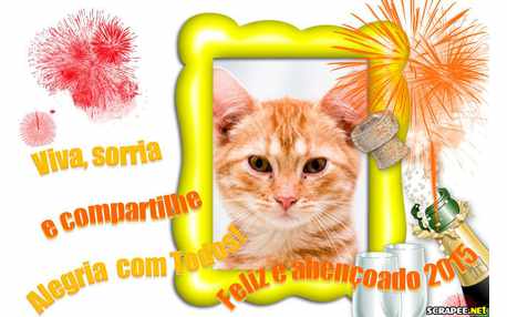 Moldura - Feliz 2015