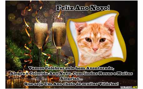 Moldura - Happy New Year