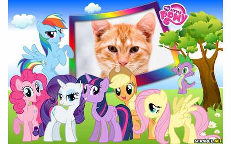 Moldura - Little Pony