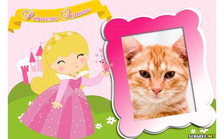 Moldura - Princesinha Aurora