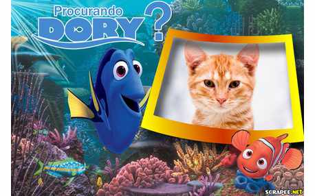 Moldura - Procurando Dory