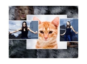 Moldura - Prison Break