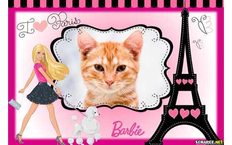 Moldura - Barbie Paris