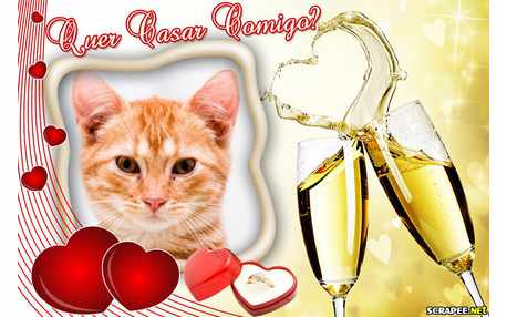 Moldura - Pedido De Casamento