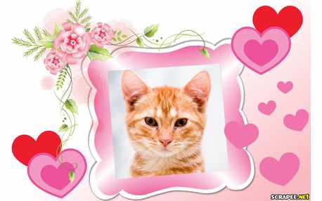 Moldura - Moldura Com Flor E Coracoes