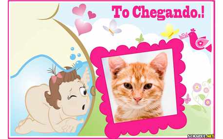 Moldura - Minha Bebe Esta Chegando