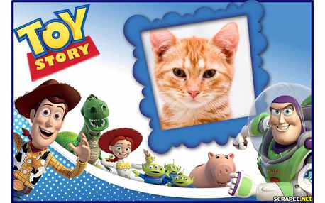 Moldura - Toy Story