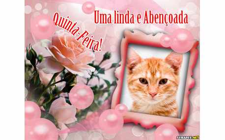 Moldura - Dia De Quinta Feira