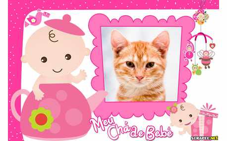 Moldura - Cha De Bebe Menina