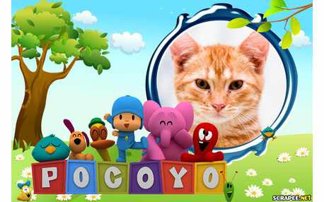 Moldura - Galera Do Pocoyo