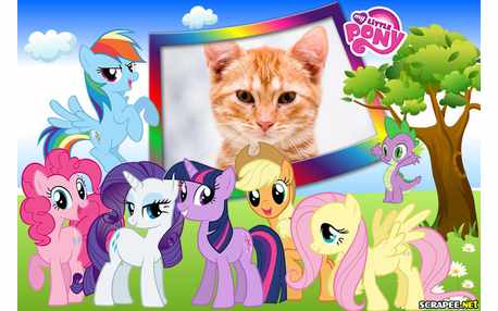 Moldura - Little Pony Para Fotos