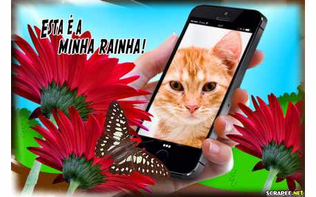 Moldura - Mae Minha Rainha