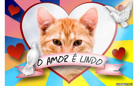 Moldura - O Amor E Lindo Especial Dia Dos Namorados