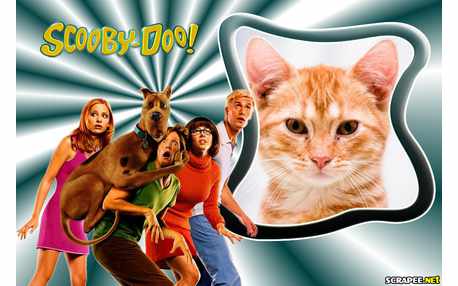Moldura - Scooby Doo Filme