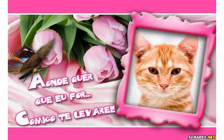 Moldura - Aonde Eu For Te Levarei