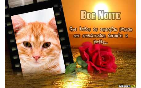 Moldura - Boa Noite Em Alto Mar