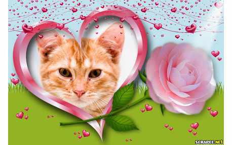 Moldura - Coracao Com Rosa Cor De Rosa