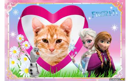 Moldura - Frozen Rosa