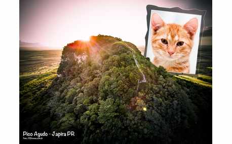 Moldura - Pico Agudo Japira Pr