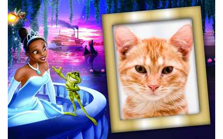 Moldura - A Princesa E O Sapo