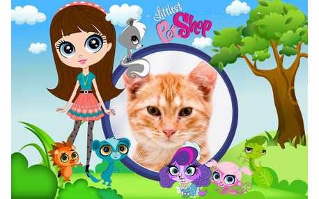 Moldura - Littlest Petshop