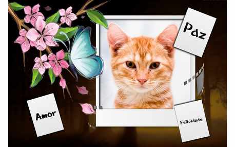 Moldura - Coisas Boas