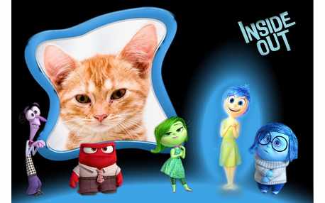 Moldura - Inside Out Movie