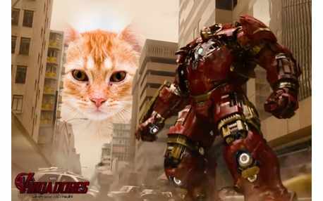 Moldura - Vingadores Era De Ultron