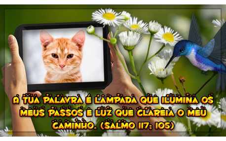 Moldura - Salmo 117 Verso 105 Recado Bablico