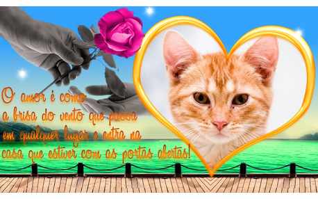 Moldura - O Amor E Como A Brisa Do Vento